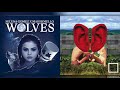 "Symphony of Wolves" - Mashup of Selena Gomez/Clean Bandit/Marshmello/Zara Larsson