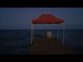 Алушта сегодня 2025/#Вспоминаем лето. Море и скрипка🌊🎻15 августа 2025