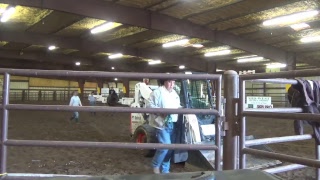 GCCC Rodeo 50th Anniversary