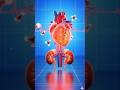 How Stress Makes Your Heart Beat Faster ❤️⚡ #shorts #shortvideo #facts