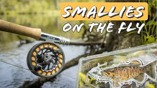 Fly Fishing Smallmouth | Upper Peninsula Michigan