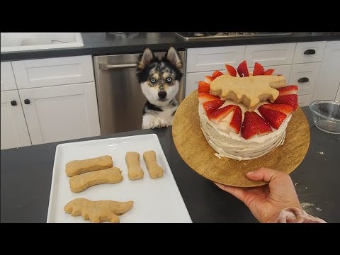 dog-birthday-cake-and-cookies-recipe!-(meet-my-new-puppy!)