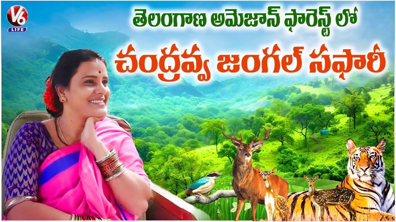 Wildlife Adventure in Mannanur | Amrabad Tiger Reserve Safari | Chandravva Explores | V6 Life