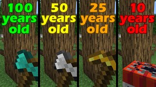 Minecraft at Different Ages be like: