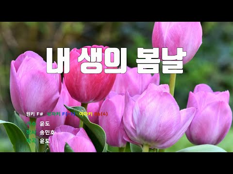 [은성 반주기] 내생의봄날 - 윤도