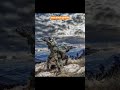 # Army # commando NSG # para SF # tujhko na dekhu to ji # short video 🪖🪖