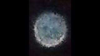 Orbs Photographed in My Backyard