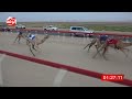 الشوط 5 تراحيب لـ محمد خليفه بن حارب مغير الخييلي 2 13 شارة الشيخ طحنون 2024 8 3 فطامين رماح 