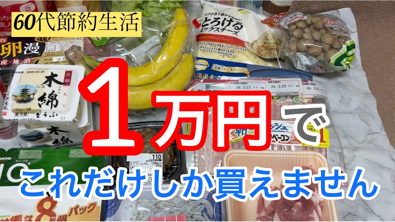 1万円でこれだけしか買えません/節約生活中/節約料理 白色丼/60代1ヶ月の食費