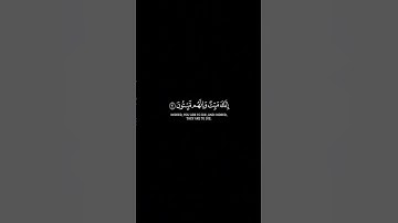 { إِنَّكَ مَیِّتࣱ وَإِنَّهُم مَّیِّتُونَ }[سُورَةُ الزُّمَرِ: ٣٠] كروم سوداء🌿القارئ #ماهر_المعيقلي 🌿