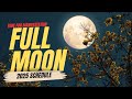 2025 Full Moon Calendar: Dates & Times 🌕
