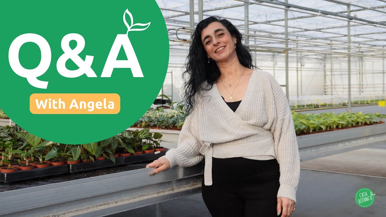 Greenhouse Walk & Talk: Instagram Q&A