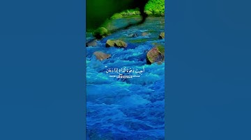 سورة البقرة #قران_كريم #اكسبلور #الرحمن #music #duet #المصحف #دويتو #المراه #تيك_توك #اعتني