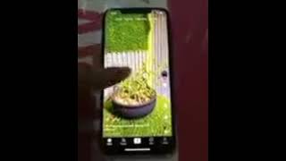 Video 20250623 170503