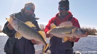 Rainy River Walleyes *GIANTS*