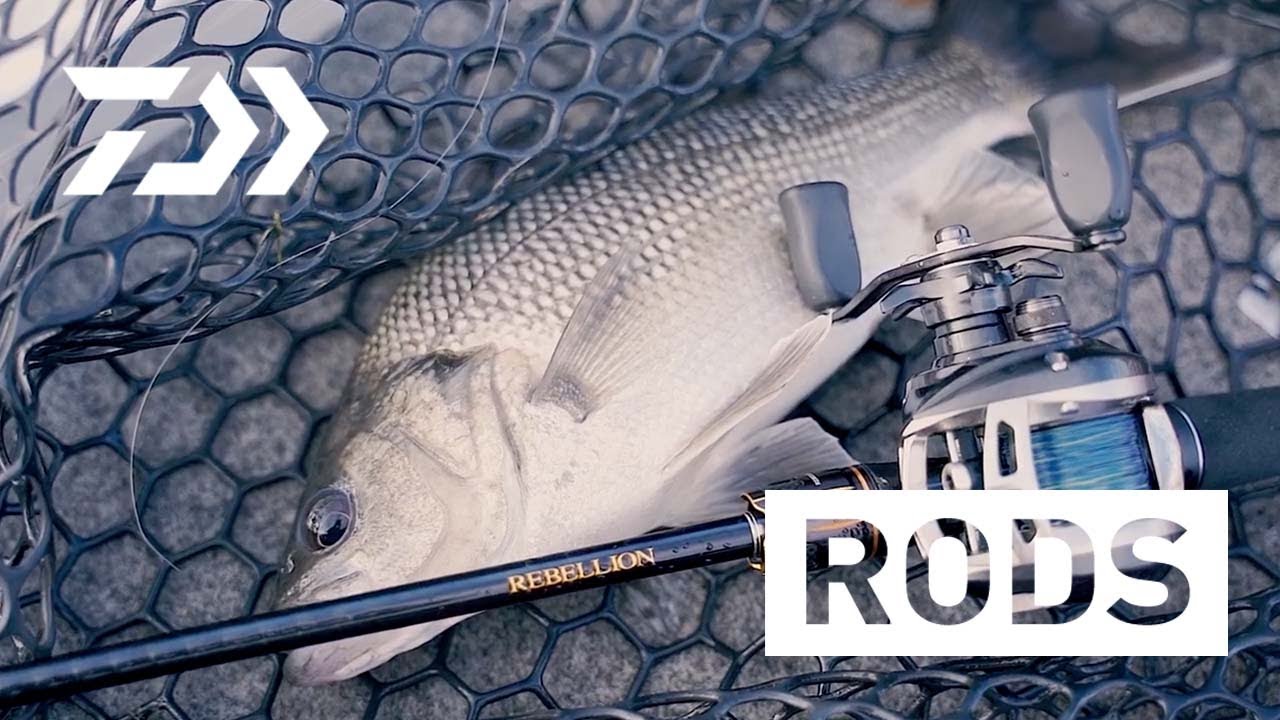 Rebellion Rods - YouTube