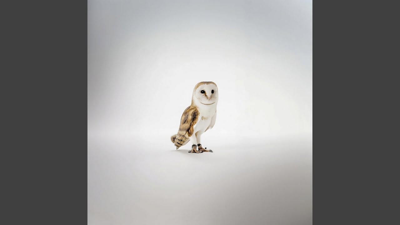 Guarda Outro su YouTube Guarda Outro su YouTube