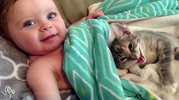 Baby Can’t Stop Petting His Little Kitten | The Dodo