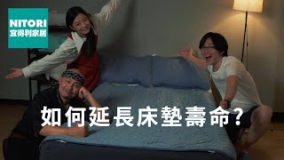 N COOL 涼感保潔墊 2023 × @nsfwstudio｜宜得利家居