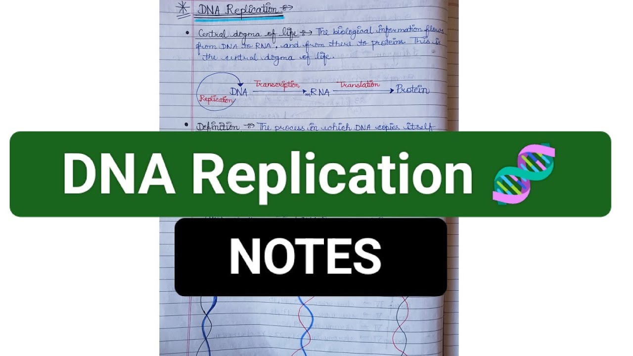 DNA Replication (Introduction) | Molecular biology |genetics