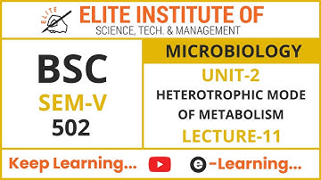 BSC SEM V || MICROBIOLOGY 502 || UNIT 2 || LECTURE 11
