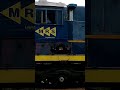 C36 e C30 MRS no Trem de carregado com contêiner sentido CNAGA #train #railway #trem #railfans