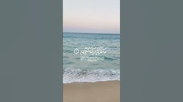 #القرآن_الكريم #راحة #راحة_نفسية #قران_كريم #قرآن #تلاوات #تلاوة_خاشعة #تلاوة_هادئة