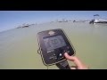 Metal Detecting with the Whites MX Sport at the Island!