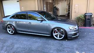 Audi S4 B8.5 @034motorsport E40 after ​⁠@AdamsPolishes  graphene ceramic coat 🤌