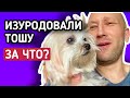 Артём изуродовал моего Тошу! || Распаковка мебели