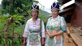 Xia Lauj Thb Mim Lauj Nkawv Hai Kwv Txhiaj G Muaj Txij Nkawv O