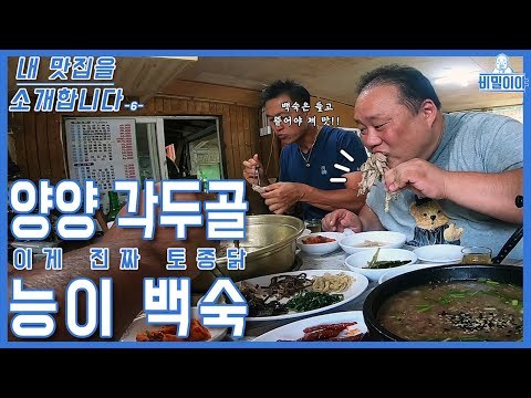[Introducing My Favorite Restaurant] Neungi Baeksuk, a Native Chicken That Needs No Introduction (feat. Yagwanmunju)