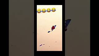 Kite cating gone wrong #shorts #vlogs 🤣🤣
