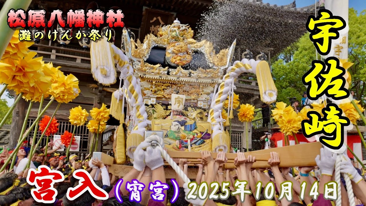 【4K】播州の秋祭り 灘のけんか祭り 松原八幡神社 宇佐崎 宮入 宵宮 2025年10月14日