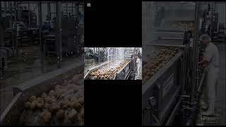 “Inside USA Chips Factory 😱 From Farm to Packet”