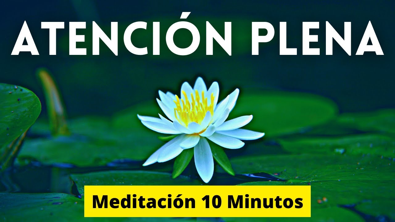 Meditación Guiada Mindfulness 10 MINUTOS | Atención Plena, Calmar la ...