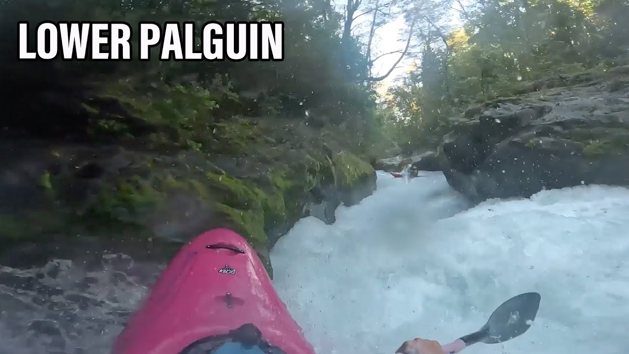 LOWER PALGUIN