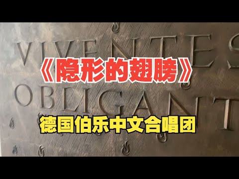 《隐形的翅膀》德國伯樂中文合唱團原唱：张韶涵 Unsichtbare Fluge   Chinesisch-Chor an der Burg 德国伯乐中文合唱团合唱  #隐形的翅膀 #伯乐中文合唱团