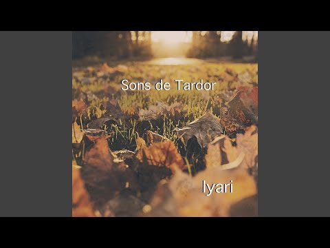 Iyari — Silencis