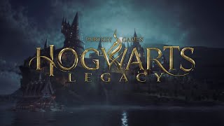 Hogwarts Legacy Short Glitches Compilation @User_DDA