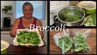 BLANCHING BROCCOLI FOR THE FREEZER!