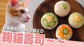 鞠貓壽司橘貓壽司橘皮壽司【貓主食食譜】好味貓廚房EP116