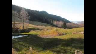 Location Vacances en G�te G�rardmer (88400) - Nature des Vosges