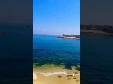 Shorts اسكندرانيه إسكندرية 