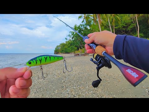 Orca Scar Fishing Rod Your Ultimate Fishing Companion