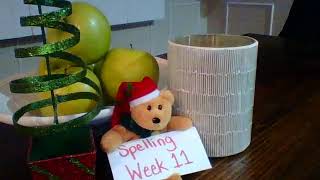 Spelling Test Week 11