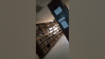 perfect loop