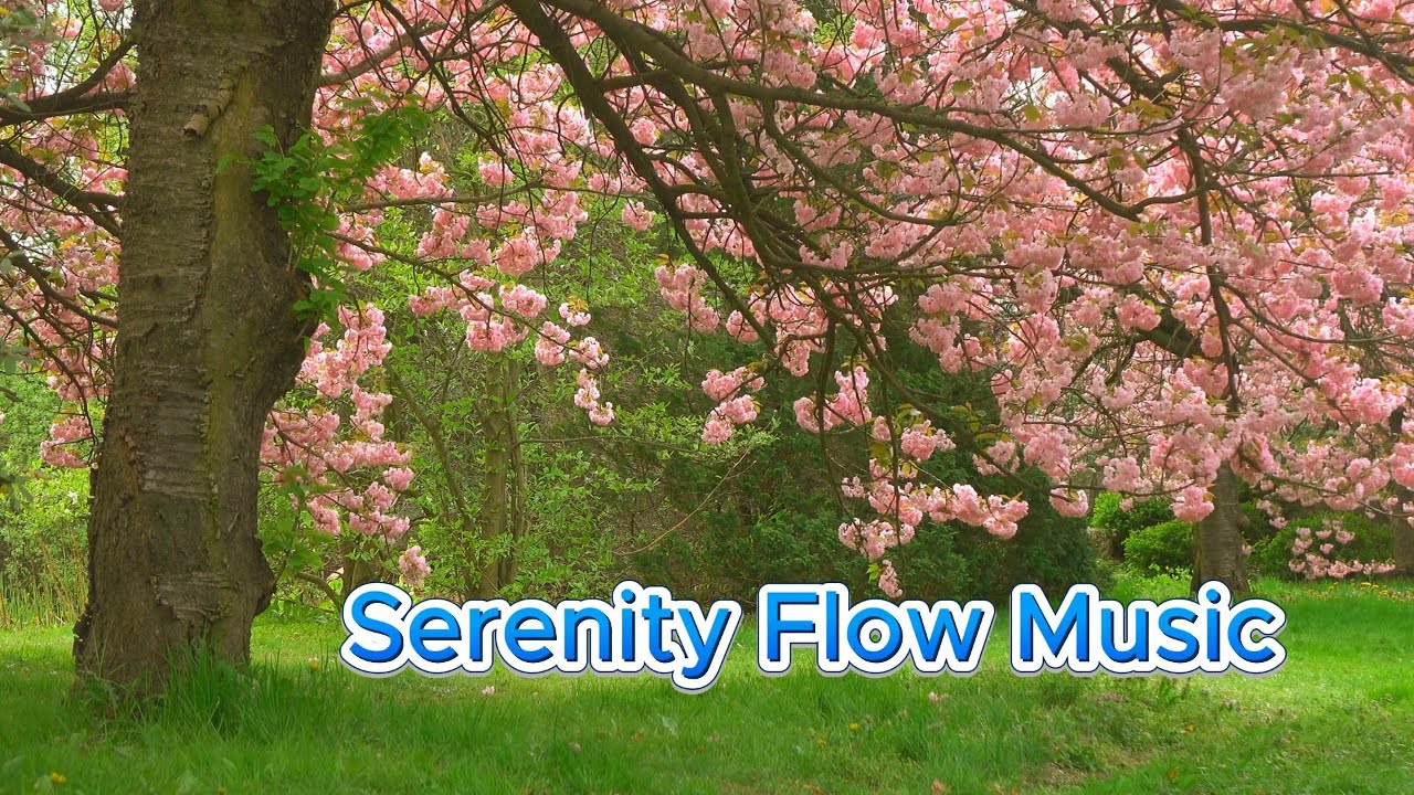 Clean Spring Music Relaxing Spring Piano for Calm & Peace | Serenity Flow Music - YouTube