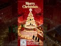 Warm Christmas Wishes & A Bright New Year! 🎄🎉