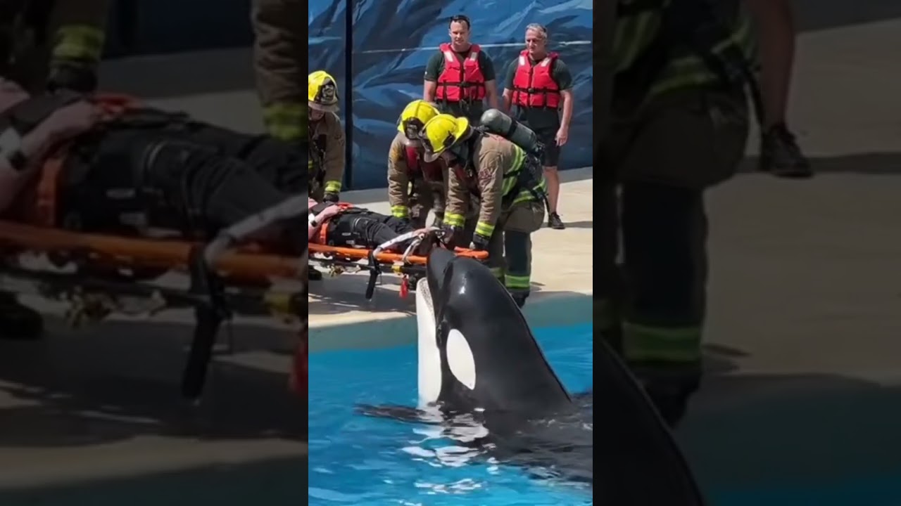 12 August 2025 - YouTube